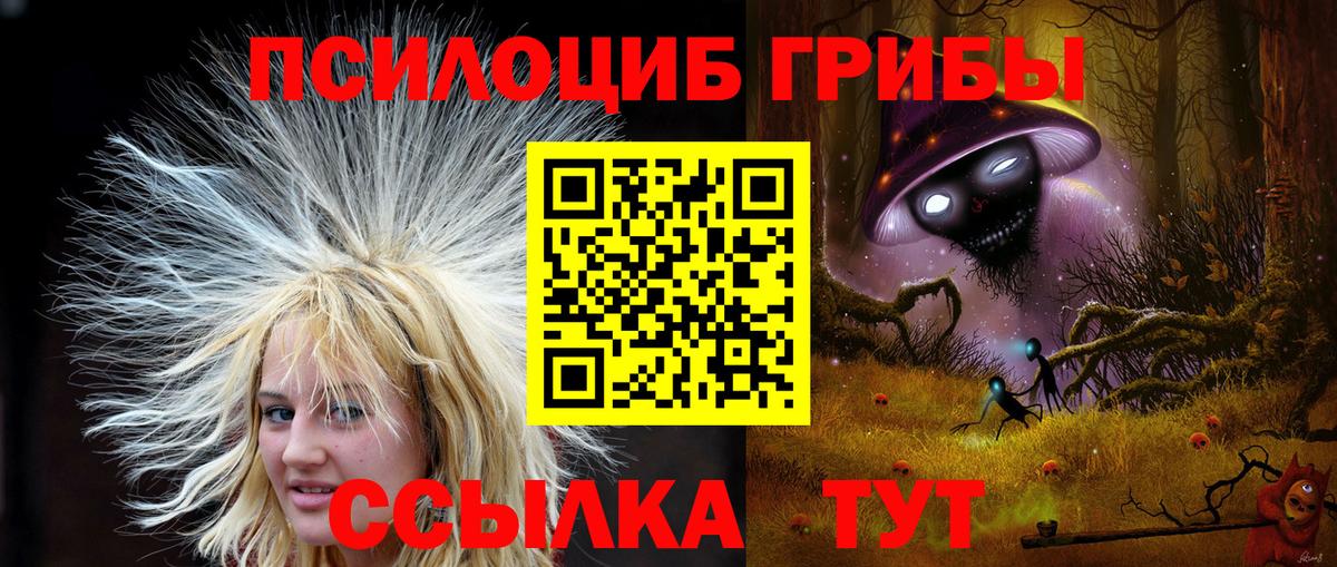 Галлюциногенные грибы Psilocybine cubensis  Вход с VPN  Междуреченск 
