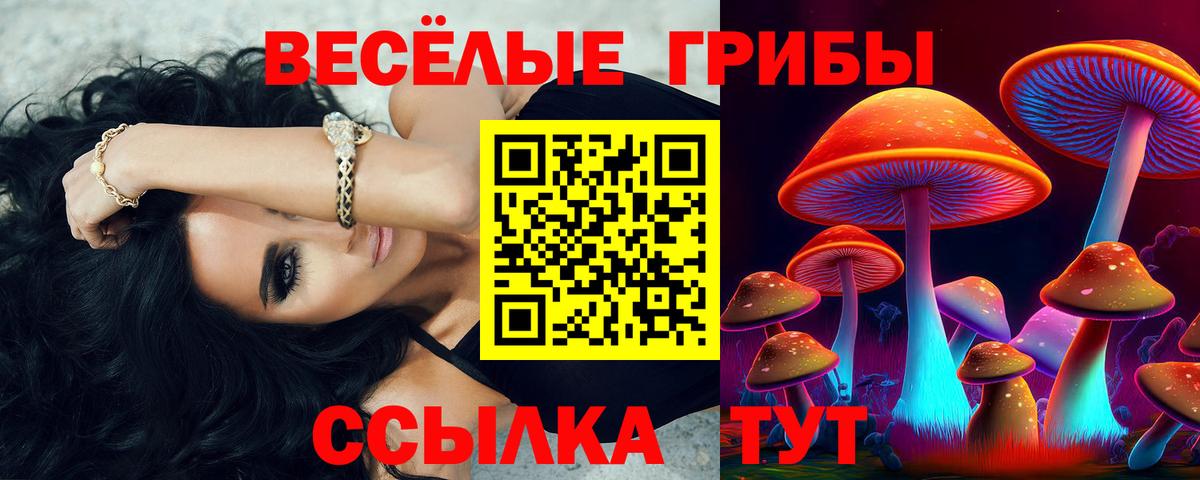 Псилоцибиновые грибы Psilocybine cubensis Междуреченск